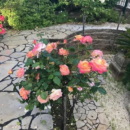 Bed & Breakfast Manu D'hote *