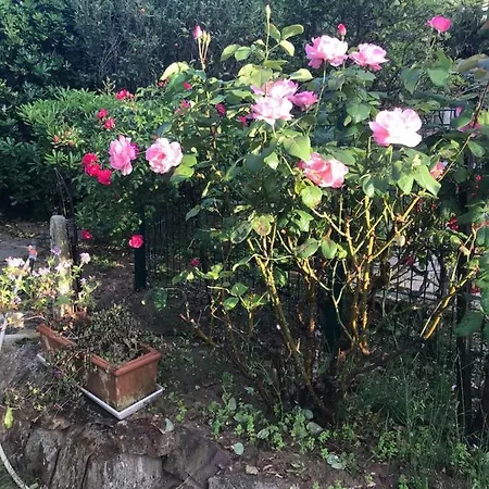 Bed and Breakfast Manu D'hote